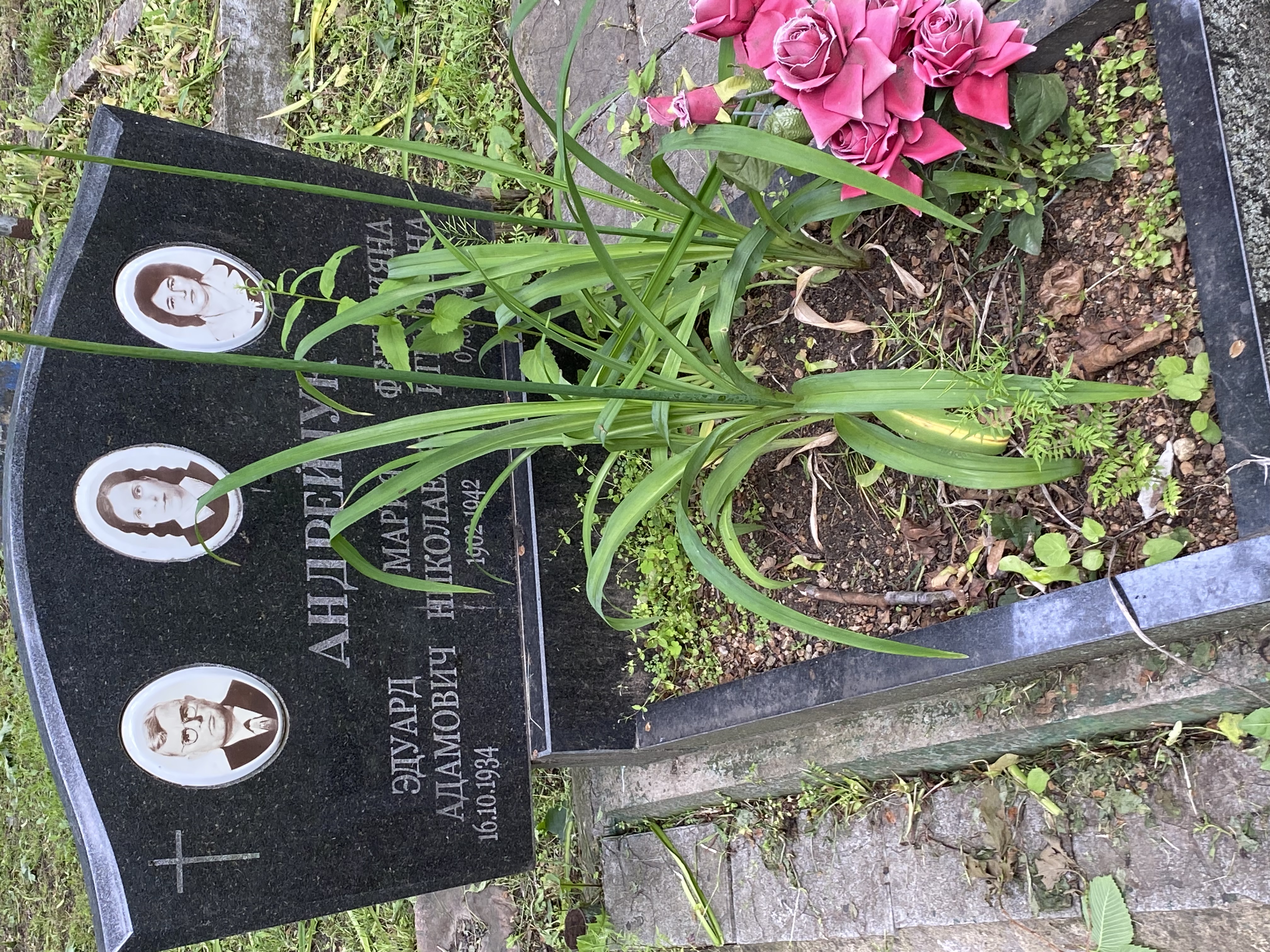 Фотография надгробия